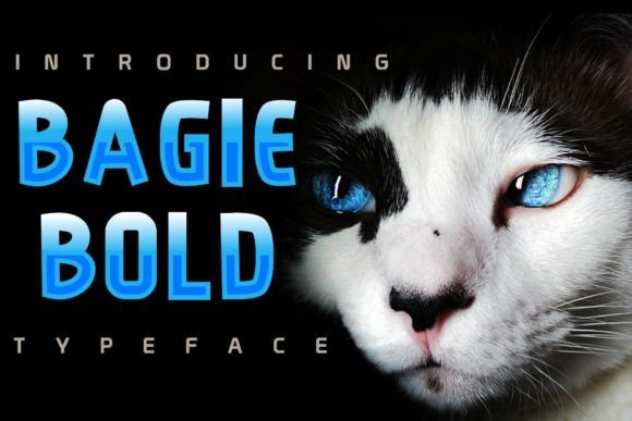 Bagie: The Playful Handwritten Script Font for Modern Creators